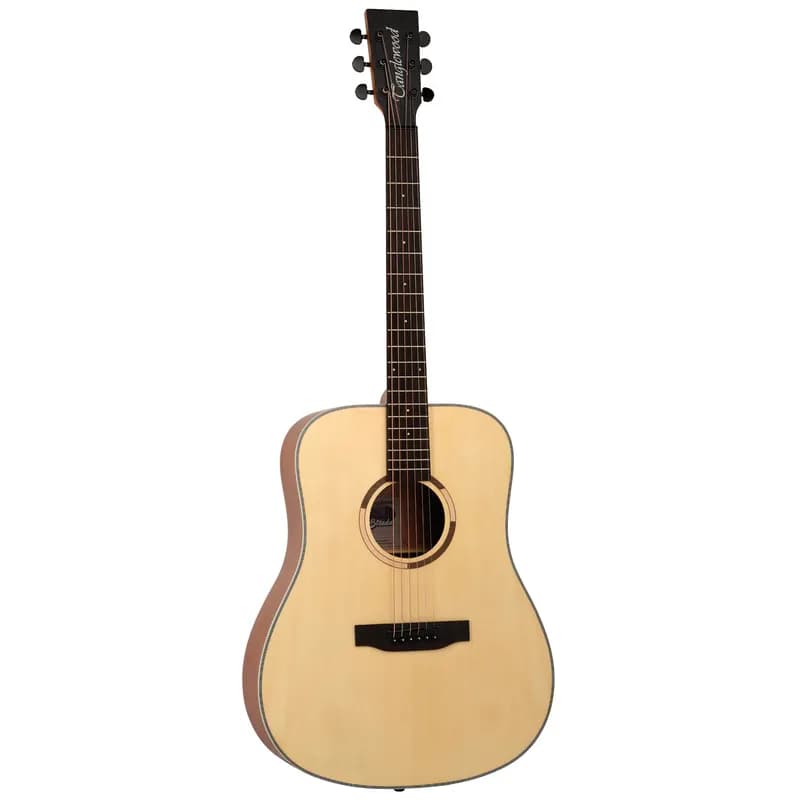 TANGLEWOOD TS5 Đàn Guitar Acoustic